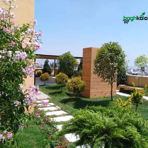 کاربرد بام سبز و روف گاردن | طراحی و اجرا